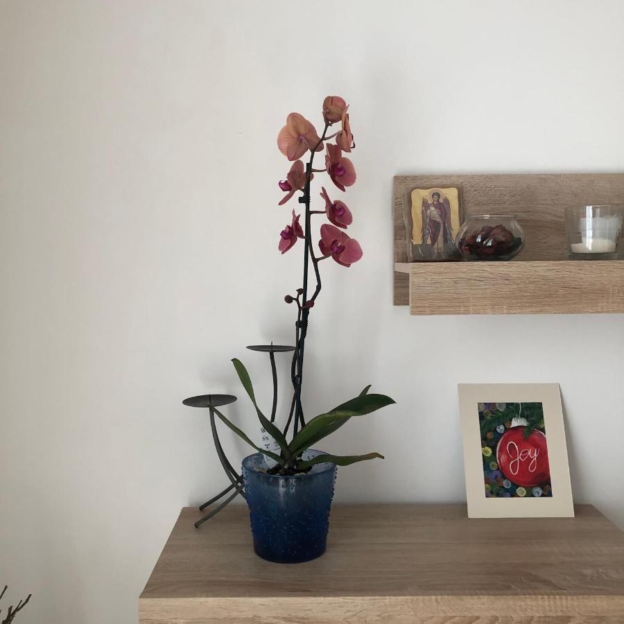 부쿠레슈티 Grig Apartament 아파트 외부 사진